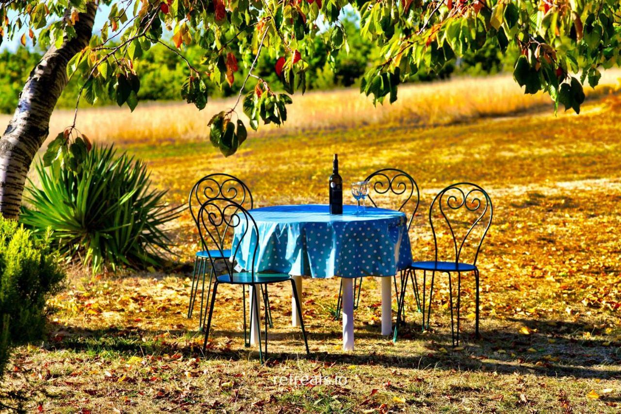 La Colle En Provence Main House Villa Sigonce Kültér fotó